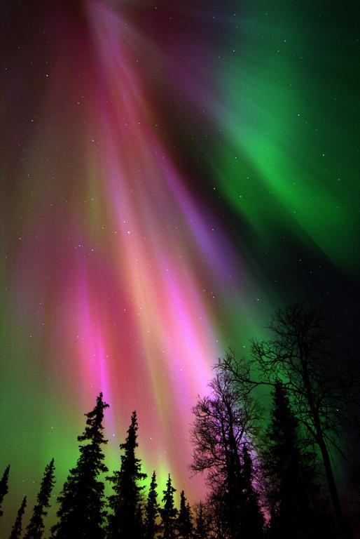 Lapland Northern Lights Hotel Ilveslinna Ranua Luaran gambar