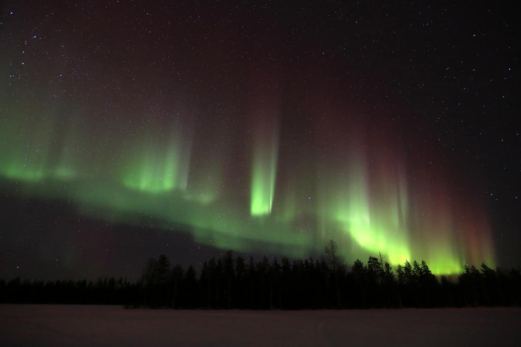 Lapland Northern Lights Hotel Ilveslinna Ranua Luaran gambar