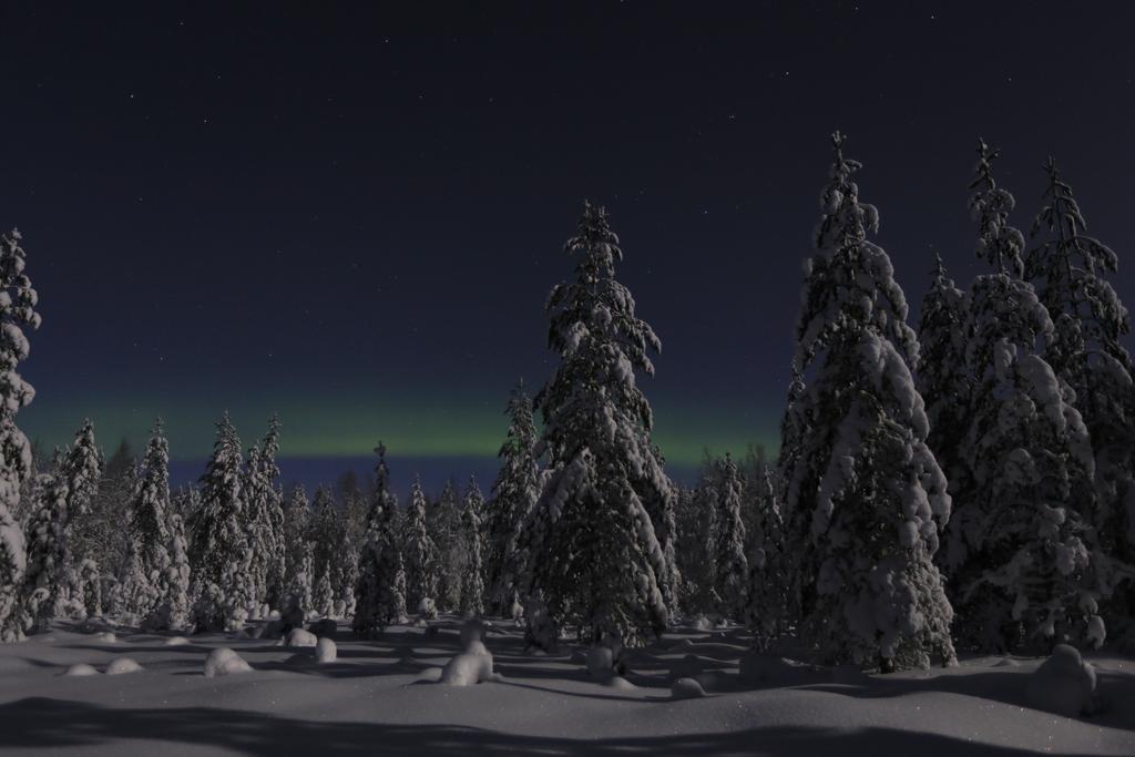 Lapland Northern Lights Hotel Ilveslinna Ranua Luaran gambar
