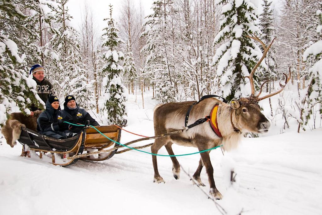 Lapland Northern Lights Hotel Ilveslinna Ranua Luaran gambar