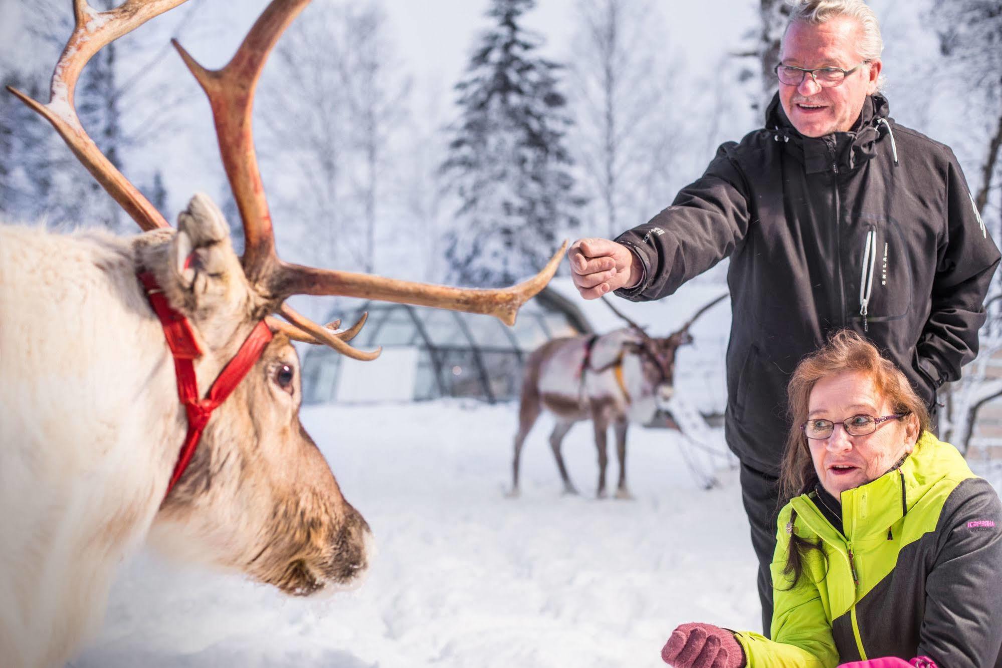 Lapland Northern Lights Hotel Ilveslinna Ranua Luaran gambar
