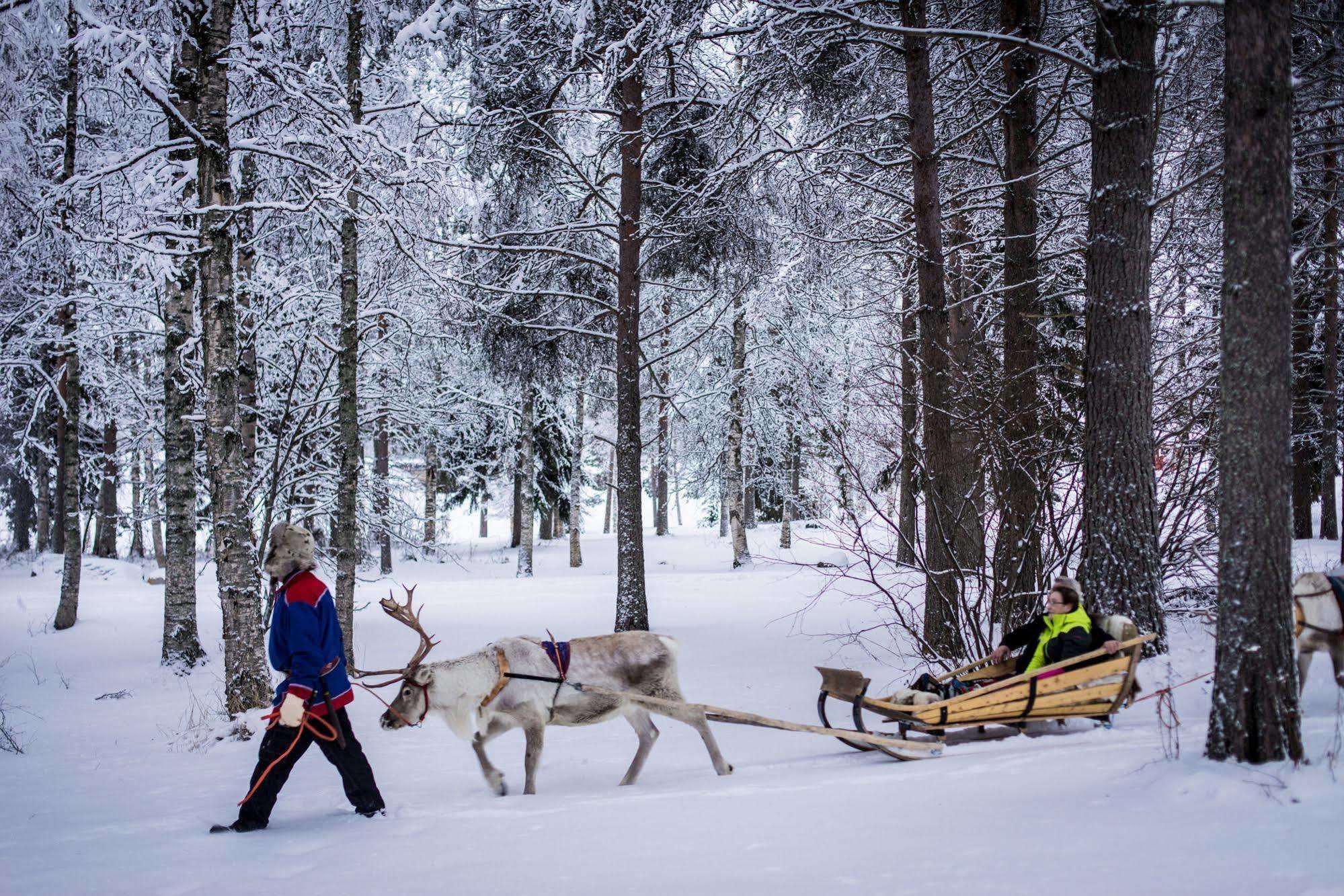 Lapland Northern Lights Hotel Ilveslinna Ranua Luaran gambar